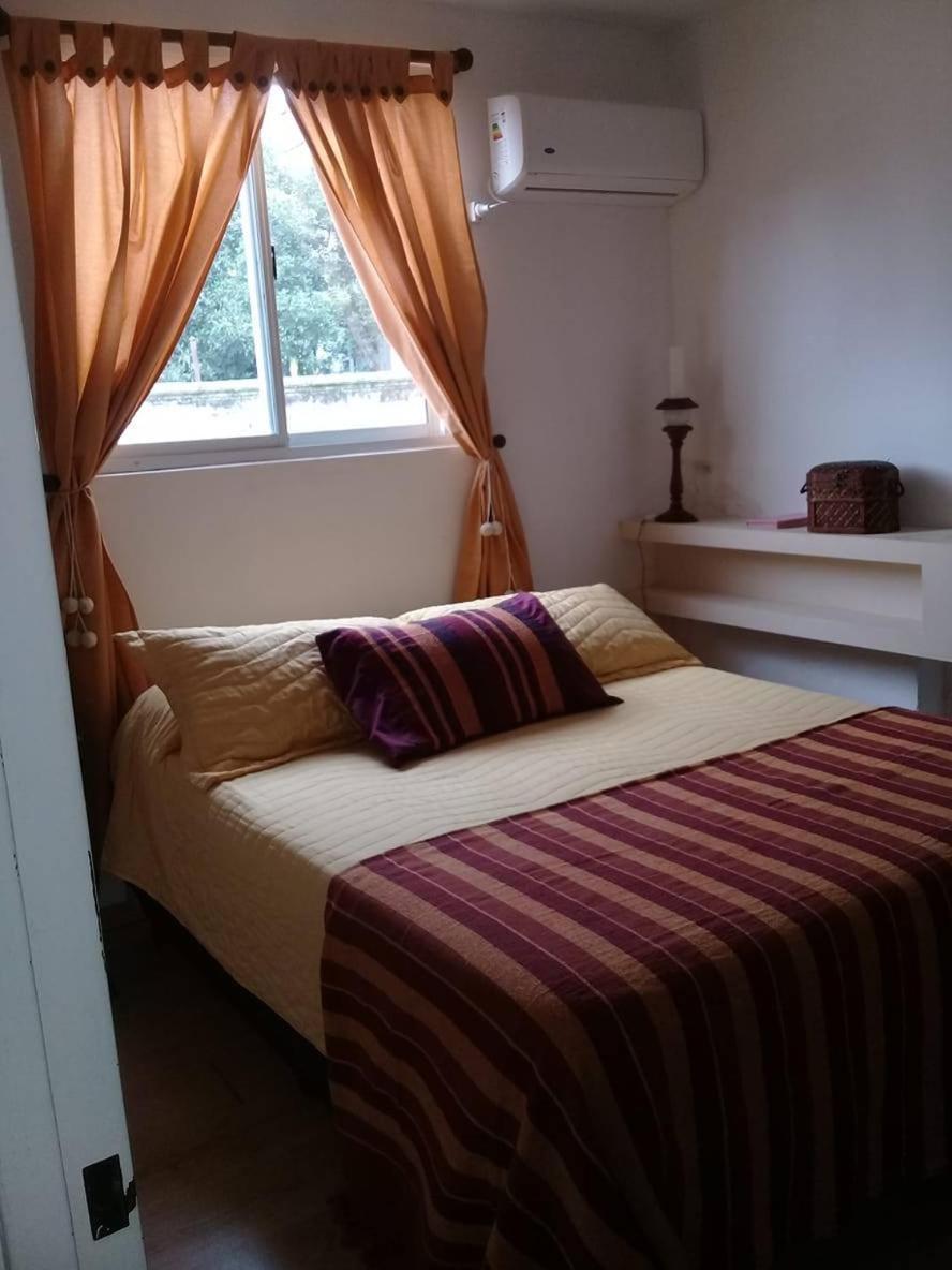 Alto Belgrano Apartment San Salvador de Jujuy Ngoại thất bức ảnh